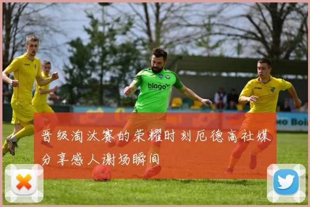 晋级淘汰赛的荣耀时刻厄德高社媒分享感人谢场瞬间